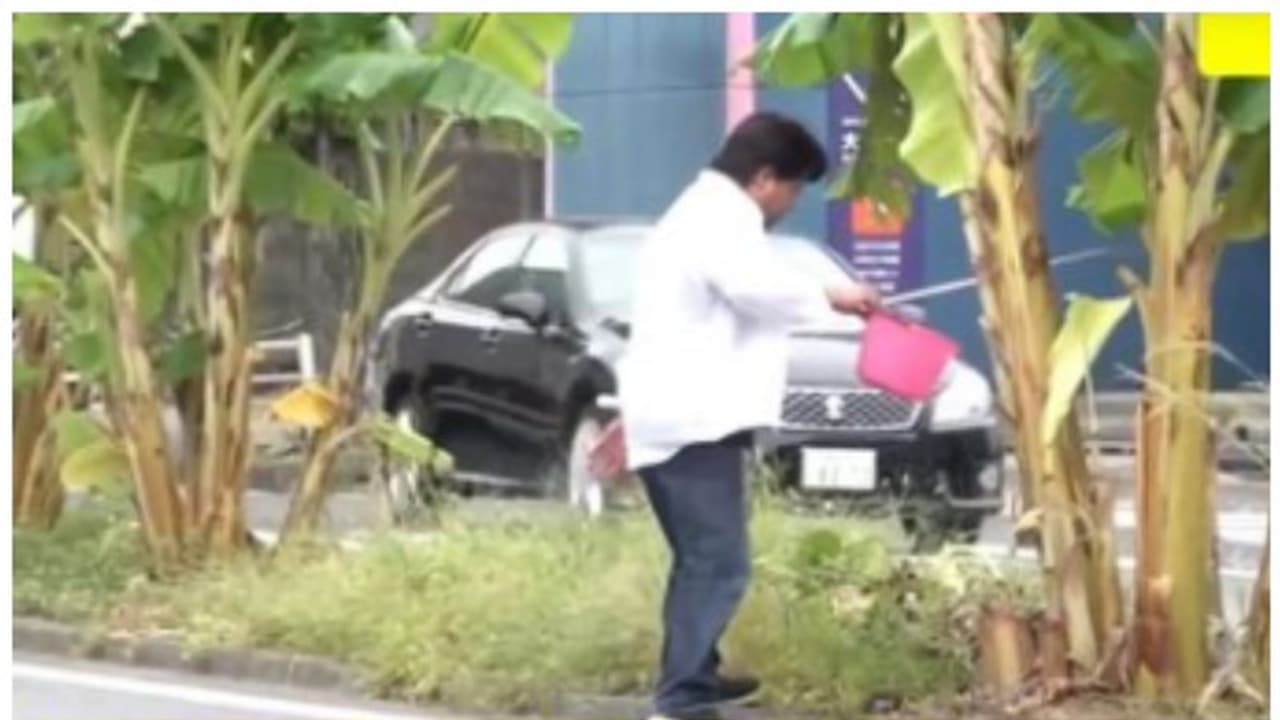 റോഡിന് നടുവില്‍ വാഴ നട്ട് രണ്ട് വര്‍ഷം വളര്‍ത്തി; ഒടുവില്‍ ഇടപെട്ട് അധികൃതര്‍; താന്‍ അനാഥനായെന്ന് ഉടമ ! 