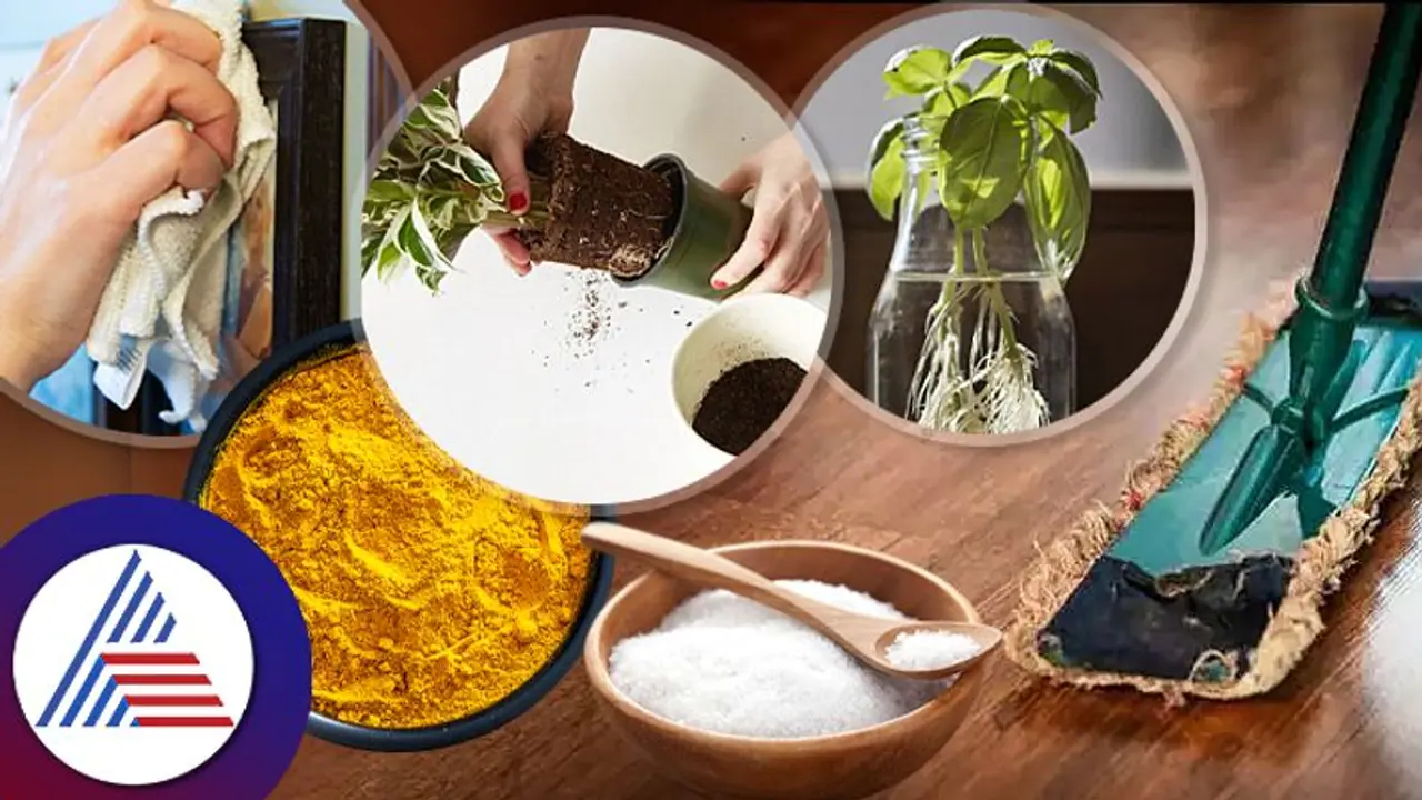 Vaastu Tips: ಮನೆ ವಾಸ್ತು ಪ್ರಕಾರ ಇಲ್ಲ ಅನ್ನೋ ಬೇಜಾರು ಬಿಡಿ, ಇವುಗಳನ್ನ ಮಾಡಿ ನೋಡಿ, ಅದೃಷ್ಟನೇ ಮನೆಗೆ ಬರುತ್ತೆ! Vaastu Tips: ಮನೆ ವಾಸ್ತು ಪ್ರಕಾರ ಇಲ್ಲ ಅನ್ನೋ ಬೇಜಾರು ಬಿಡಿ, ಇವುಗಳನ್ನ ಮಾಡಿ ನೋಡಿ, ಅದೃಷ್ಟನೇ ಮನೆಗೆ ಬರುತ್ತೆ!