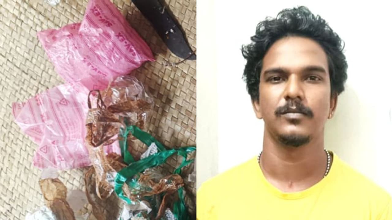 ബെംഗളൂരിൽ തുച്ഛമായ വില! കേരളത്തിലെത്തിയാൽ ഗ്രാമിന് 4000, കലവുരിൽ യുവാവിന്റെ കണ്ടത് 3 ലക്ഷത്തിന്റെ ലഹരിയുമായി