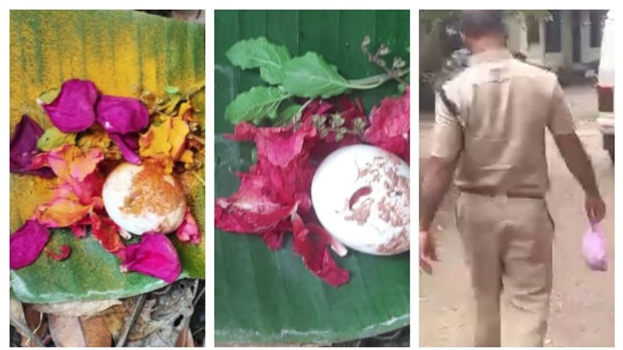 വാഴയിലയിൽ കോഴിമുട്ട! കൂടോത്രം ഫലിക്കുമെന്ന പേടി, നെഞ്ചിടിച്ച് ബ്ലോക്ക് അംഗവും കുടുംബവും; കൈമലർത്തി പൊലീസ് വാഴയിലയിൽ കോഴിമുട്ട! കൂടോത്രം ഫലിക്കുമെന്ന പേടി, നെഞ്ചിടിച്ച് ബ്ലോക്ക് അംഗവും കുടുംബവും; കൈമലർത്തി പൊലീസ്