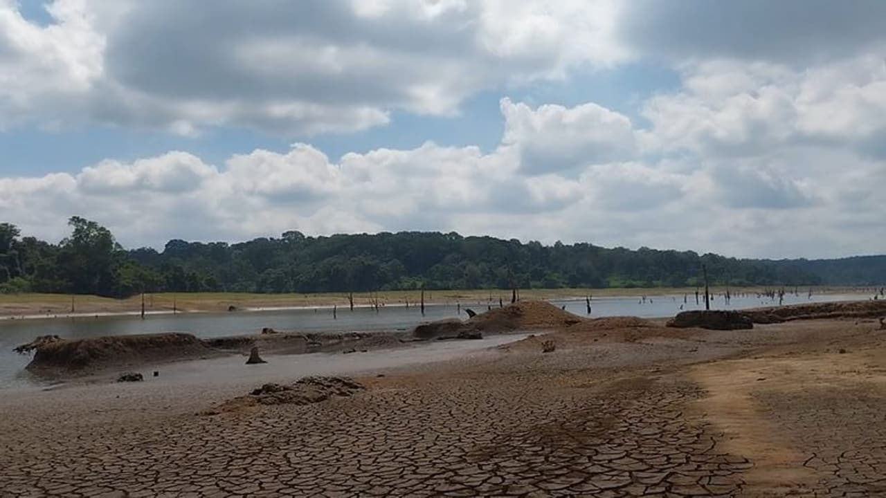 Farmers concerned as Chiklihole reservoir in Kodagu dries up months ahead of summer