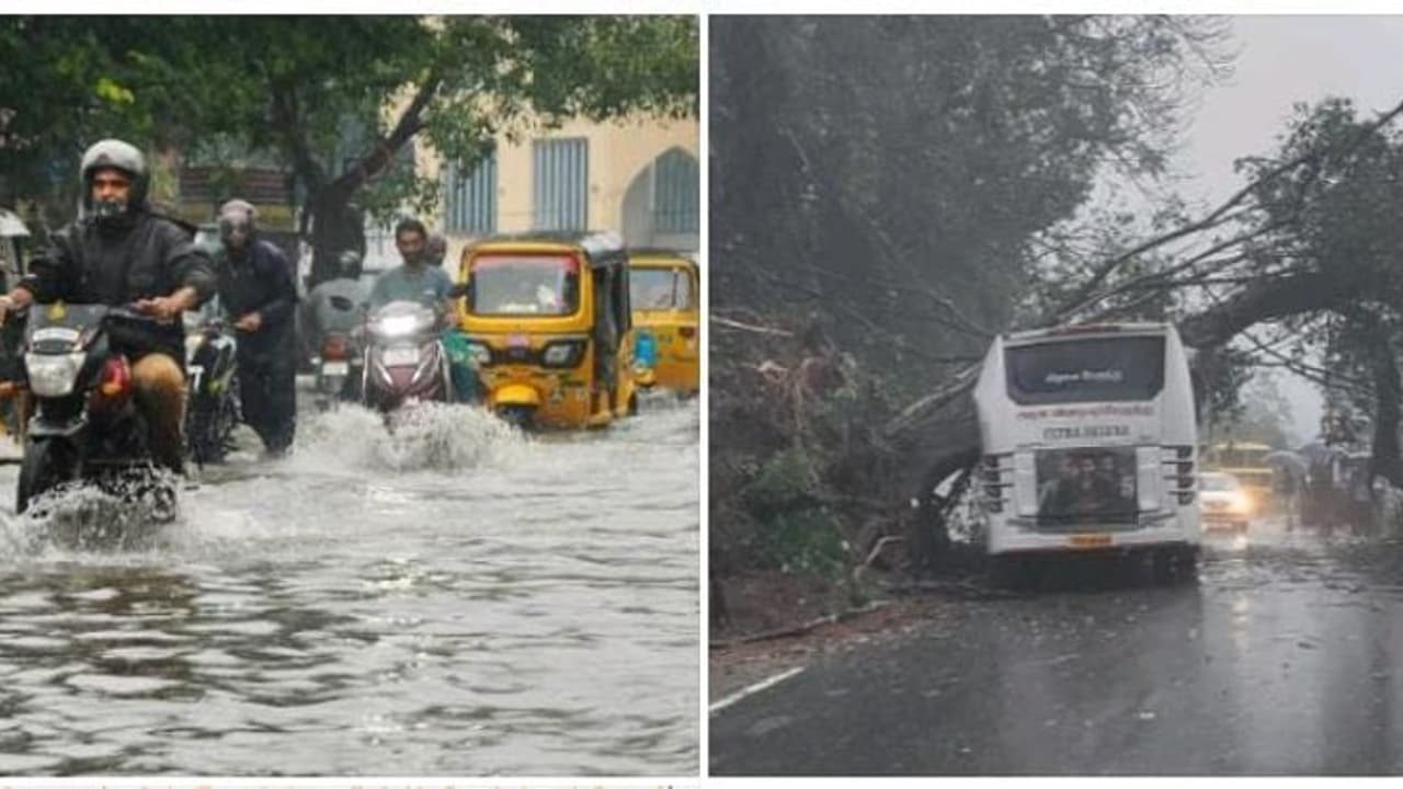 8 ജില്ലകളിലെ സ്കൂളുകള്‍ക്ക് അവധി, 35 ജില്ലകളിൽ മഴ മുന്നറിയിപ്പ്, തമിഴ്നാട്ടിലും പെരുമഴ