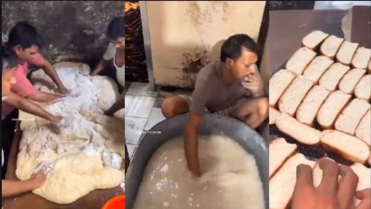 ರಸ್ಕ್ ಮಾಡ್ತಿರುವ ವೀಡಿಯೋ ವೈರಲ್: ಈ ವೀಡಿಯೋ ನೋಡಿದ್ರೆ ಮತ್ತೆ ತಿನ್ನಲ್ಲ ರಸ್ಕ್ ರಸ್ಕ್ ಮಾಡ್ತಿರುವ ವೀಡಿಯೋ ವೈರಲ್: ಈ ವೀಡಿಯೋ ನೋಡಿದ್ರೆ ಮತ್ತೆ ತಿನ್ನಲ್ಲ ರಸ್ಕ್