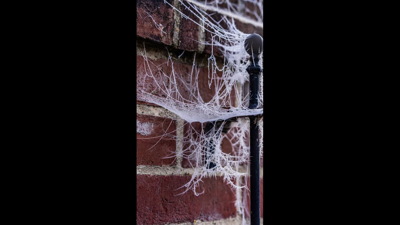 ಕೂತ್ರೂ ನಿಂತ್ರೂ ಗೋಡೆ ಮೇಲೆ ಜೇಡ ಕಂಡ್ರೂ ಇಲ್ಲಿ ದಂಡ ವಿಧಿಸ್ಬೇಕು, ಹೇಗೆ ಬದುಕ್ತಾರೆ ಮಂದಿ ಇಲ್ಲಿ?