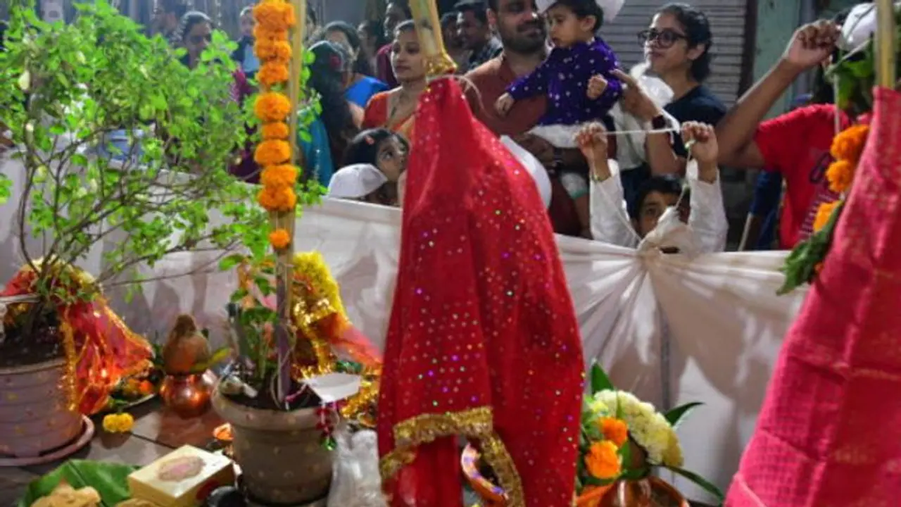 Tulsi Vivah 2023: Know date, history, significance of Tulasi Kalyanam Tulsi Vivah 2023: Know date, history, significance of Tulasi Kalyanam