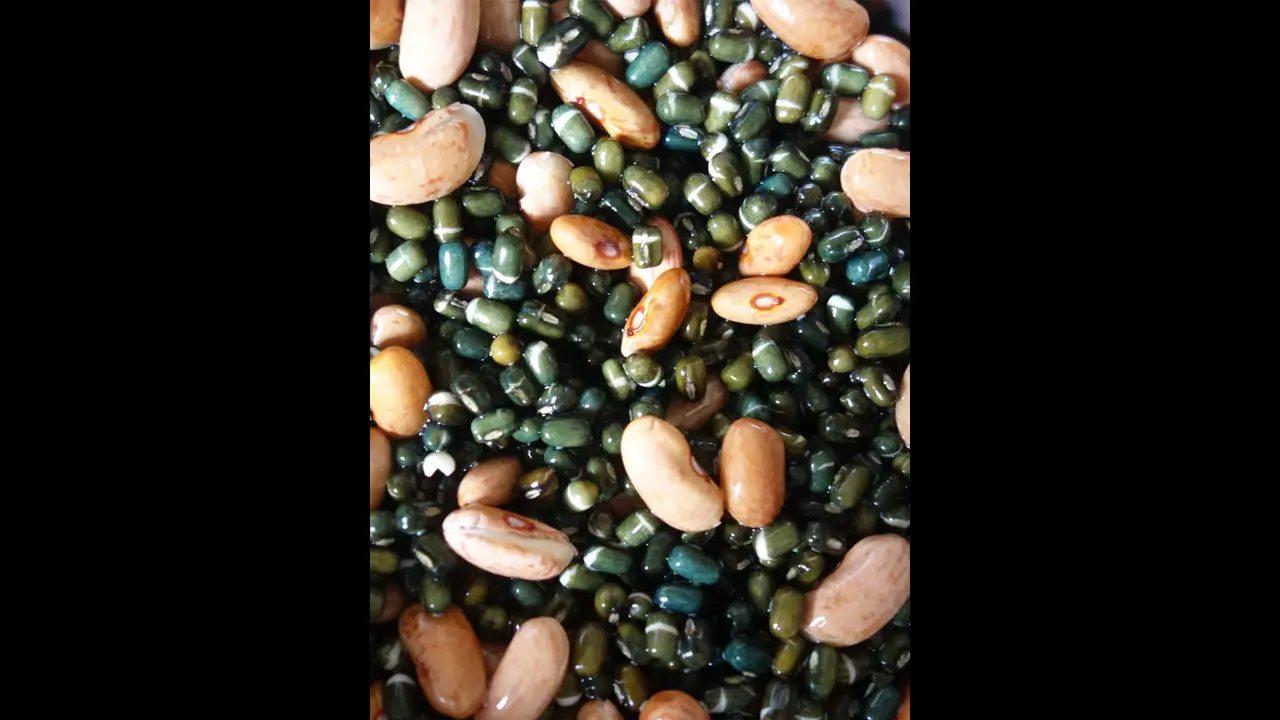 ಶುಗರ್ ನಿಯಂತ್ರಿಸೋದಕ್ಕೆ ರಾಗಿ ರೊಟ್ಟಿ ಕಪ್ಪು ಬೇಳೆಯ ದಾಲ್ ಬೆಸ್ಟ್ ಕಾಂಬೋ; ಧಾನ್ಯಗಳಲ್ಲಿದೆ ಶುಗರ್ ಕಂಟ್ರೋಲ್ ಮ್ಯಾಜಿಕ್