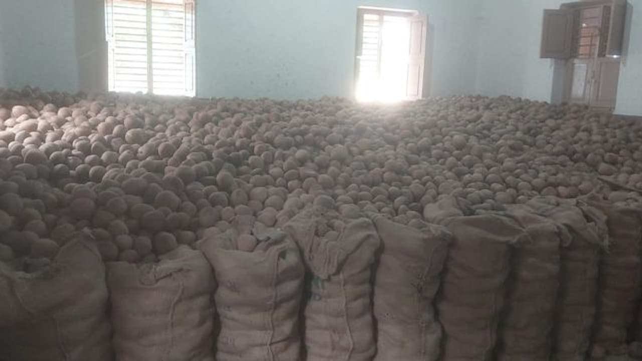 ಕೇಂದ್ರ ರಾಜ್ಯ ಸರ್ಕಾರ ನಿರ್ಲಕ್ಷ್ಯ ಕೊಬ್ಬರಿ ಬೆಲೆ 8 ಸಾವಿರಕ್ಕೆ ಕುಸಿತ ಕೇಂದ್ರ ರಾಜ್ಯ ಸರ್ಕಾರ ನಿರ್ಲಕ್ಷ್ಯ ಕೊಬ್ಬರಿ ಬೆಲೆ 8 ಸಾವಿರಕ್ಕೆ ಕುಸಿತ