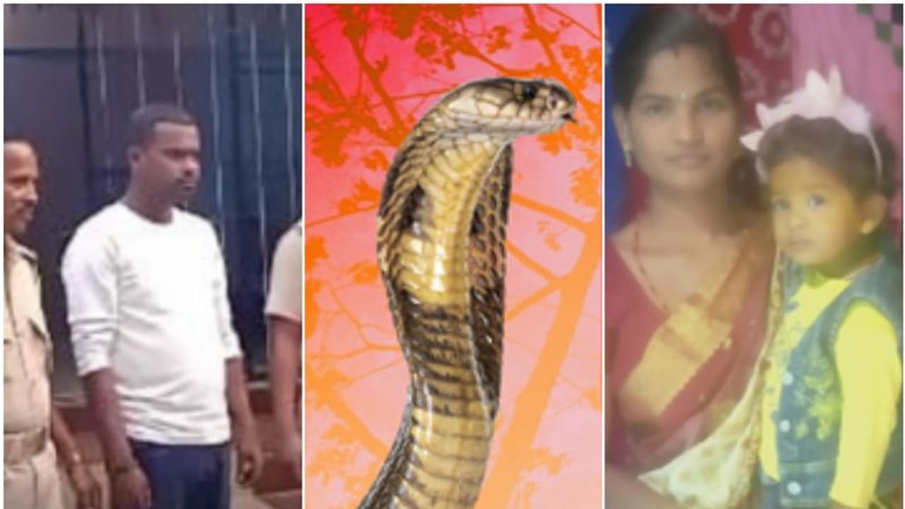 ബെഡ് റൂമിൽ മരിച്ച നിലയിൽ യുവതിയും കുഞ്ഞും, പാമ്പ് കടിയേറ്റത് കണങ്കാലിൽ, പാമ്പ് വന്ന 'വഴി' കണ്ടെത്തി പൊലീസ് ബെഡ് റൂമിൽ മരിച്ച നിലയിൽ യുവതിയും കുഞ്ഞും, പാമ്പ് കടിയേറ്റത് കണങ്കാലിൽ, പാമ്പ് വന്ന 'വഴി' കണ്ടെത്തി പൊലീസ്