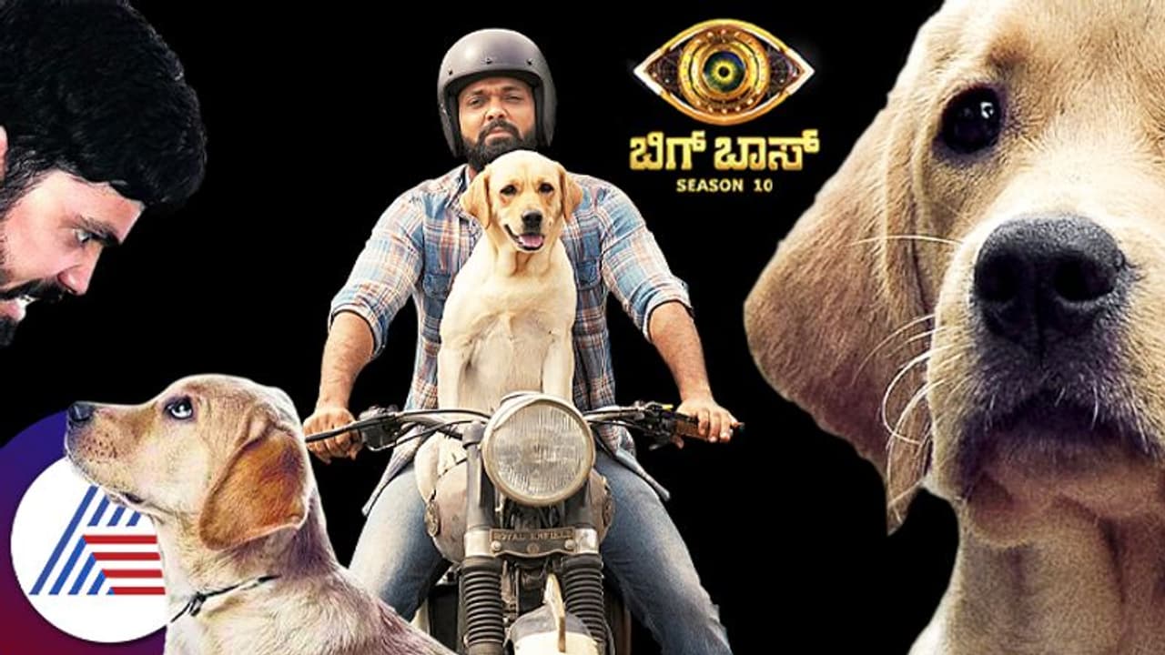 ಚಾರ್ಲಿ ಬಿಗ್ ಬಾಸ್ಗೆ ಹೋಗ್ಬಾರ್ದು ಅನ್ನೋದು ರಕ್ಷಿತ್ ಶೆಟ್ಟಿ ನಿರ್ಧಾರ; ಹರಿದು ಬಂತು ಪತ್ರಗಳು! ಚಾರ್ಲಿ ಬಿಗ್ ಬಾಸ್ಗೆ ಹೋಗ್ಬಾರ್ದು ಅನ್ನೋದು ರಕ್ಷಿತ್ ಶೆಟ್ಟಿ ನಿರ್ಧಾರ; ಹರಿದು ಬಂತು ಪತ್ರಗಳು!