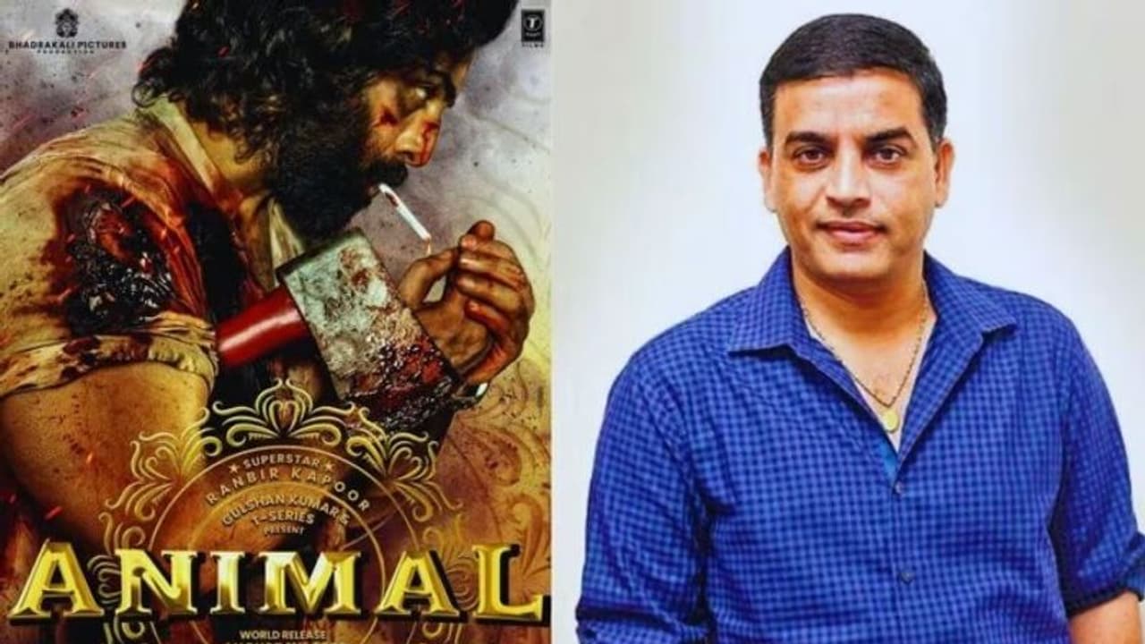 #Animal షాకింగ్ ప్రైస్ కు తెలుగు రైట్స్ ,రిస్క్ చేస్తున్నారా? #Animal షాకింగ్ ప్రైస్ కు తెలుగు రైట్స్ ,రిస్క్ చేస్తున్నారా?