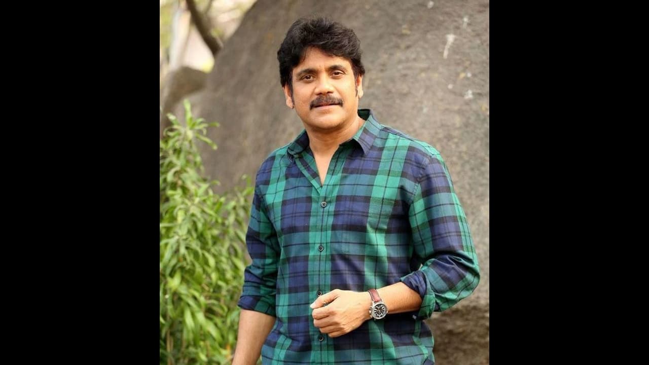 #Naasaamiranga:'నా సామి రంగ' అక్కడ డిజాస్టరా ?నాగ్ కు వార్నింగ్ బెల్? #Naasaamiranga:'నా సామి రంగ' అక్కడ డిజాస్టరా ?నాగ్ కు వార్నింగ్ బెల్?