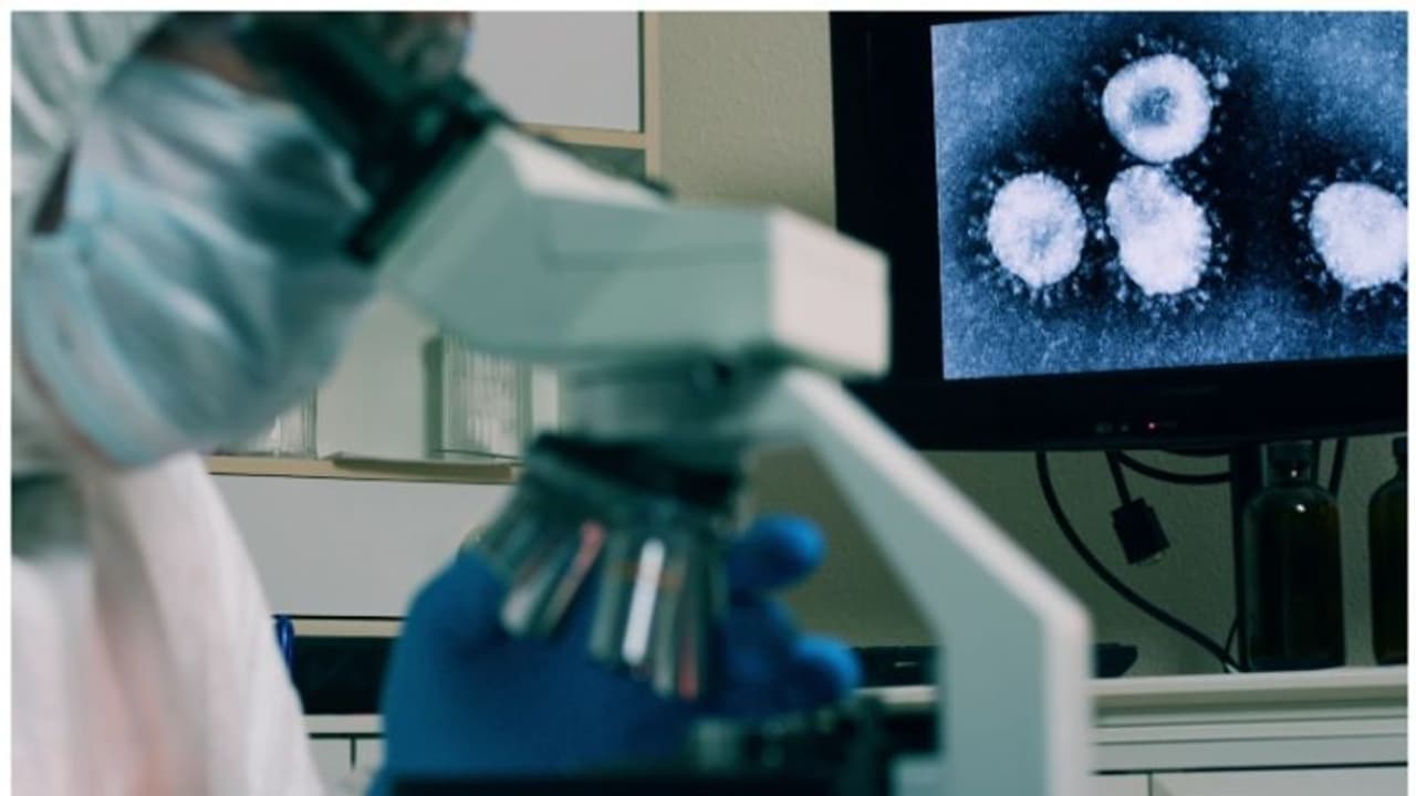 ചൈനയിൽ 'അജ്ഞാത വൈറസ്' വ്യാപനം; രാജ്യം സജ്ജമെന്ന് കേന്ദ്ര ആരോഗ്യ മന്ത്രാലയം; കേരളത്തിലും വിദഗ്ധ സമിതി യോഗം ചൈനയിൽ 'അജ്ഞാത വൈറസ്' വ്യാപനം; രാജ്യം സജ്ജമെന്ന് കേന്ദ്ര ആരോഗ്യ മന്ത്രാലയം; കേരളത്തിലും വിദഗ്ധ സമിതി യോഗം