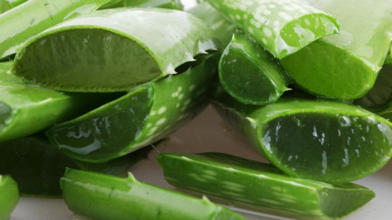 മുഖസൗന്ദര്യത്തിന് കറ്റാര്വാഴ ഇങ്ങനെ ഉപയോഗിക്കാം... മുഖസൗന്ദര്യത്തിന് കറ്റാര്വാഴ ഇങ്ങനെ ഉപയോഗിക്കാം...