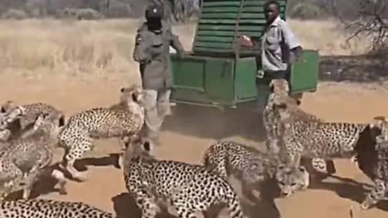 ഇങ്ങനെ ഒരു ജോലി ചെയ്യാൻ നിങ്ങൾക്ക് ധൈര്യമുണ്ടോ? അമ്പരപ്പിക്കും വീഡിയോ ഇങ്ങനെ ഒരു ജോലി ചെയ്യാൻ നിങ്ങൾക്ക് ധൈര്യമുണ്ടോ? അമ്പരപ്പിക്കും വീഡിയോ