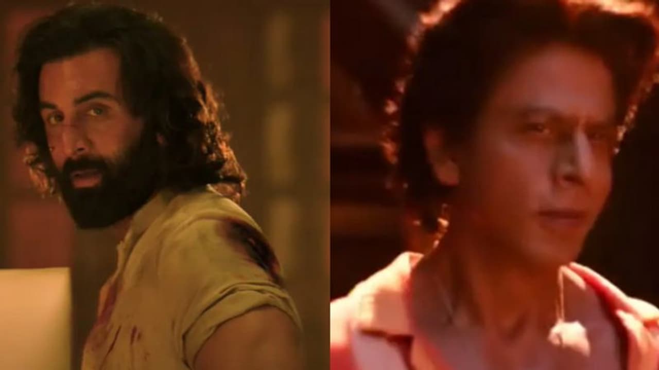 ജവാനെ പിന്നിലാക്കി റെക്കോര്‍ഡിട്ട് രണ്‍ബിര്‍ ചിത്രം അനിമല്‍, ഒന്നാമത് ആ തെന്നിന്ത്യൻ താരം