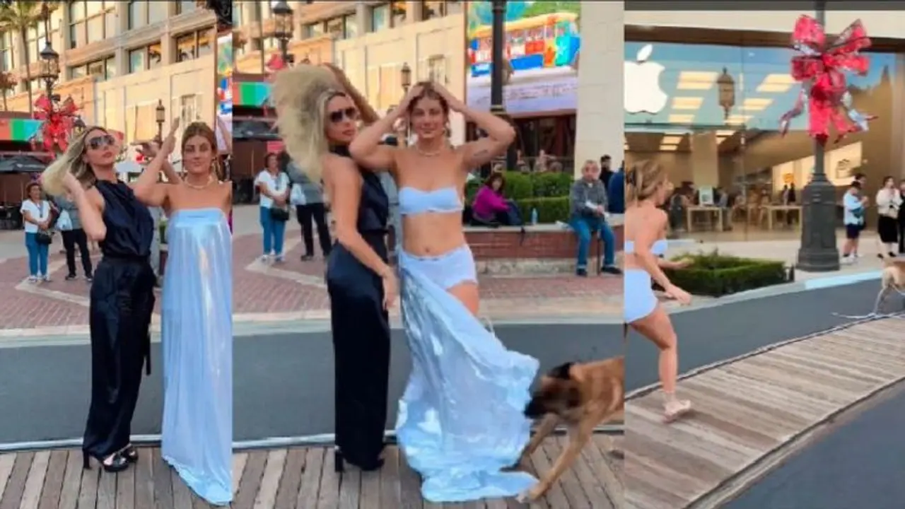 ನೋಡುವಷ್ಟು ನೋಡಿ.... ಕ್ಯಾಮರಾಗೆ ಫೋಸ್ ಕೊಡ್ತಿದ್ದ ರೂಪದರ್ಶಿಯ ಬಟ್ಟೆ ಎಳೆದೊಯ್ದ ಶ್ವಾನ: ವೀಡಿಯೋ ನೋಡುವಷ್ಟು ನೋಡಿ.... ಕ್ಯಾಮರಾಗೆ ಫೋಸ್ ಕೊಡ್ತಿದ್ದ ರೂಪದರ್ಶಿಯ ಬಟ್ಟೆ ಎಳೆದೊಯ್ದ ಶ್ವಾನ: ವೀಡಿಯೋ