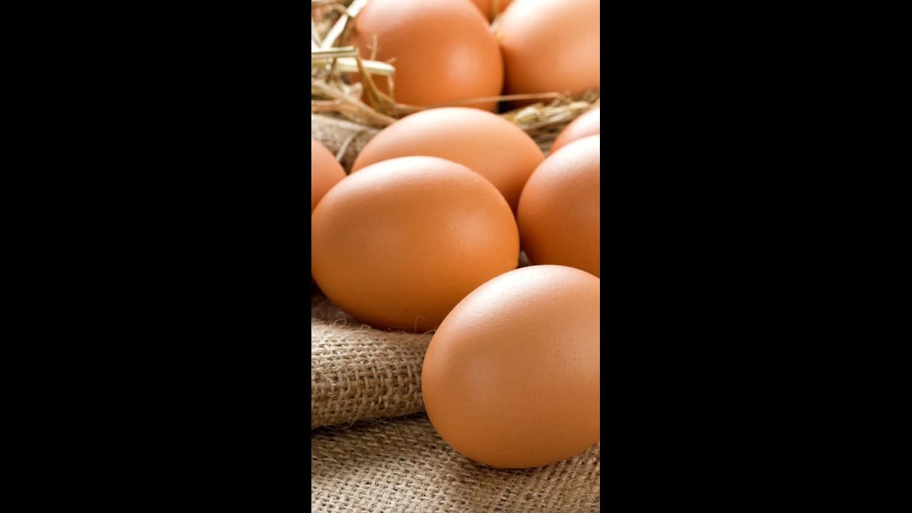 താറാവ്, കോഴി, കാട, മുട്ടയോ ഇറച്ചിയോ കാഷ്ടമോ വിൽക്കരുത്, കര്ശന നിയന്ത്രണം 28 തദ്ദേശ സ്വയംഭരണ പ്രദേശങ്ങളിൽ താറാവ്, കോഴി, കാട, മുട്ടയോ ഇറച്ചിയോ കാഷ്ടമോ വിൽക്കരുത്, കര്ശന നിയന്ത്രണം 28 തദ്ദേശ സ്വയംഭരണ പ്രദേശങ്ങളിൽ