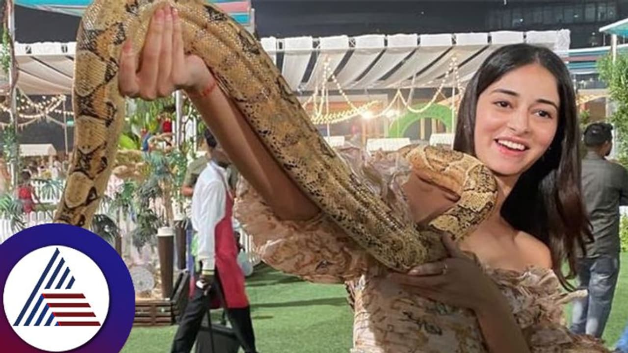 ಹಾವೇ ಸ್ವರ್ಗ ಎಂದು ಹೆಬ್ಬಾವನ್ನು ಎತ್ತಿ ಮುದ್ದಾಡಿದ್ದ ನಟಿ ಅನನ್ಯಾ ಪಾಂಡೆಗೆ ಶಾಕ್​! ಫೋಟೋ ಡಿಲೀಟ್​