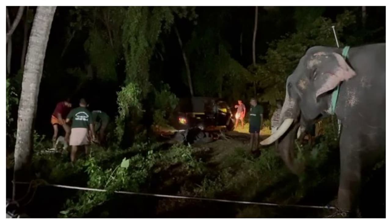 പൂരം കഴിഞ്ഞ് ചമയം അഴിക്കുന്നതിനിടെ ആനയിടഞ്ഞു; പാപ്പാനെ കുത്തിയശേഷം വലിച്ചെറിഞ്ഞു, ആശുപത്രിയിൽ പൂരം കഴിഞ്ഞ് ചമയം അഴിക്കുന്നതിനിടെ ആനയിടഞ്ഞു; പാപ്പാനെ കുത്തിയശേഷം വലിച്ചെറിഞ്ഞു, ആശുപത്രിയിൽ