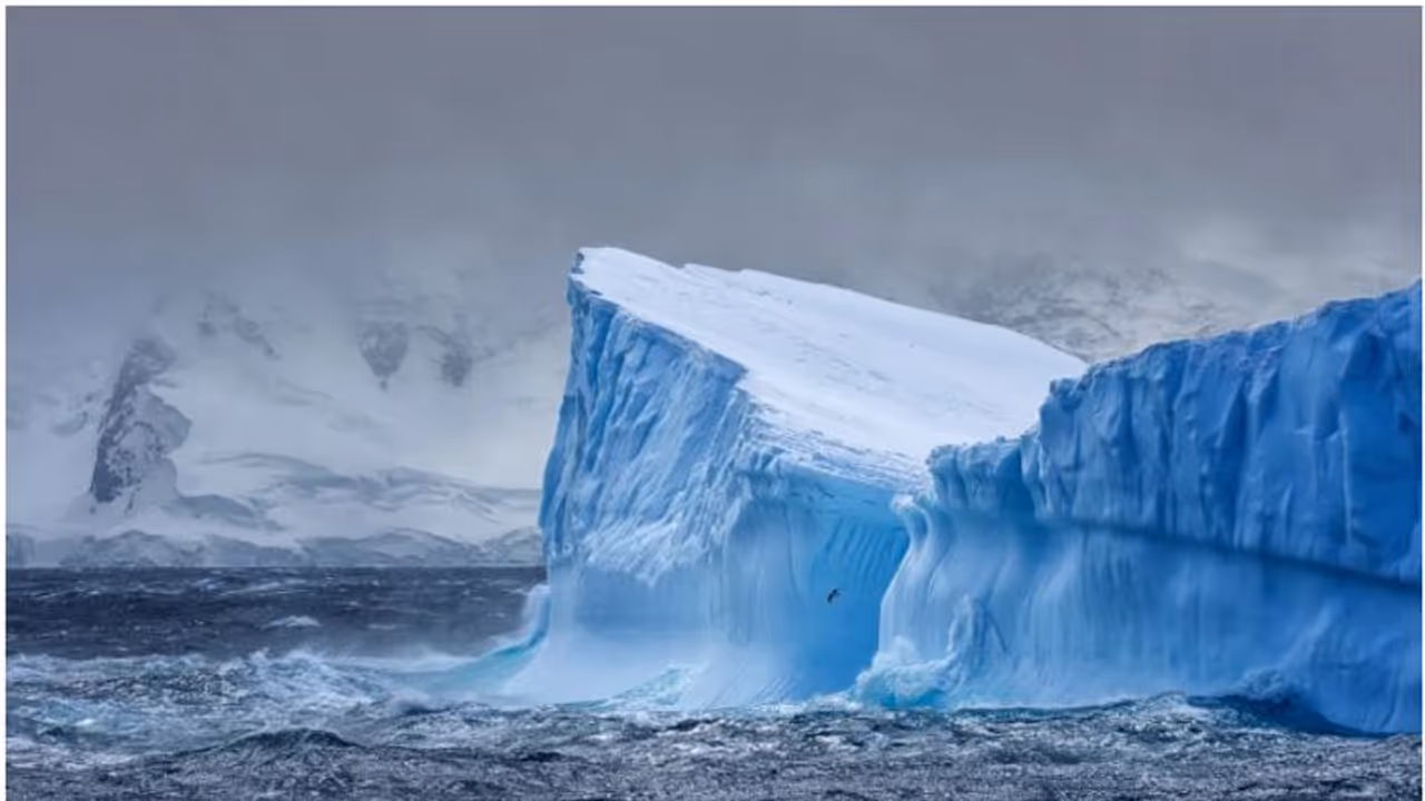 ലോകത്തിലെ ഏറ്റവും വലിയ മഞ്ഞുമല! A23a യുടെ സ്ഥാനമാറ്റം ഗുരുതര പ്രത്യാഘാതം ഉണ്ടാക്കുമോ? വിദഗ്ദർ പറയുന്നതിങ്ങനെ ലോകത്തിലെ ഏറ്റവും വലിയ മഞ്ഞുമല! A23a യുടെ സ്ഥാനമാറ്റം ഗുരുതര പ്രത്യാഘാതം ഉണ്ടാക്കുമോ? വിദഗ്ദർ പറയുന്നതിങ്ങനെ