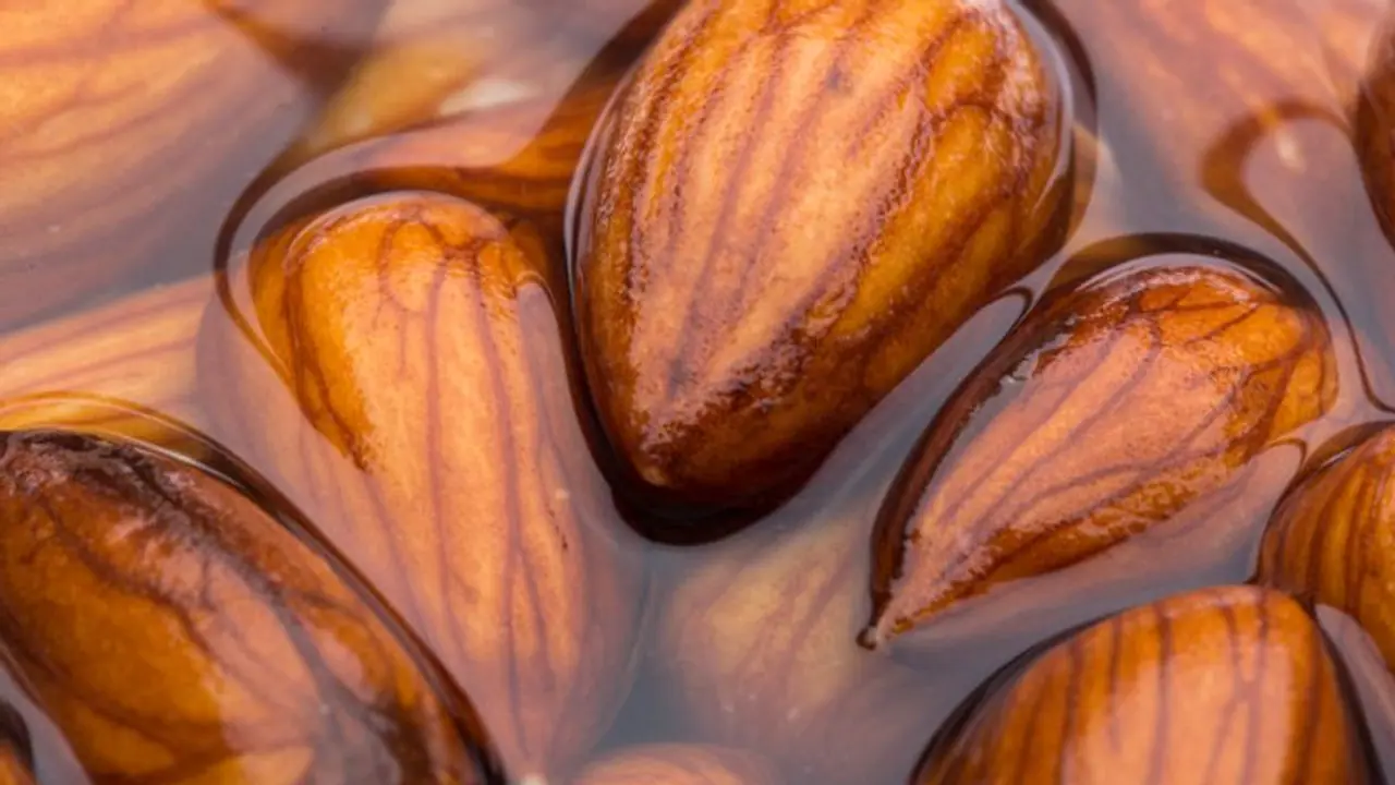 ദിവസവും കുതിർത്ത ബദാം കഴിക്കൂ; അറിയാം ഈ എട്ട് ഗുണങ്ങള്... ദിവസവും കുതിർത്ത ബദാം കഴിക്കൂ; അറിയാം ഈ എട്ട് ഗുണങ്ങള്...