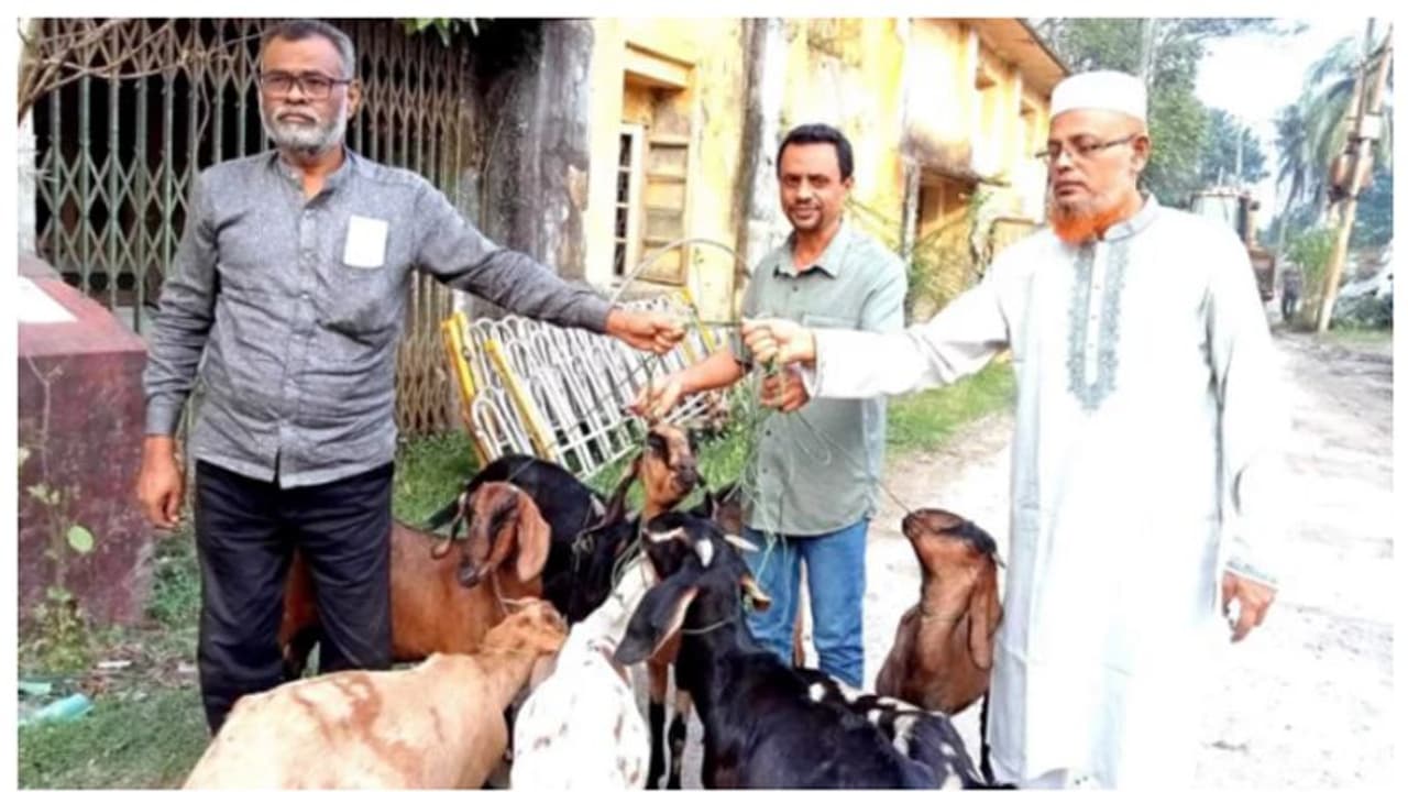 ഖബർസ്ഥാനിലെ പുല്ല് ആട് തിന്നു, പിന്നാലെ തടവ്; ഒടുവിൽ ഒരു വർഷത്തിന് ശേഷം ഒമ്പത് ആളുകൾക്കും ജയില്‍ മോചനം ! 