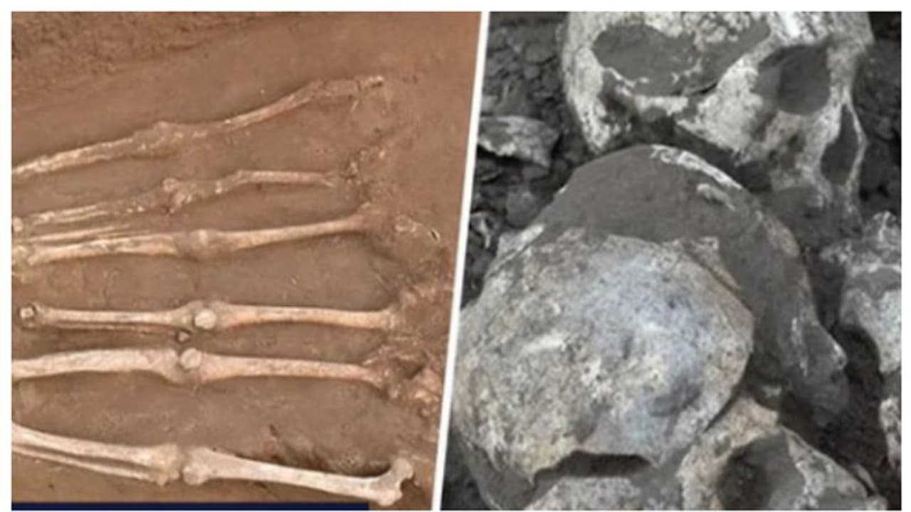 4,100 വർഷം പഴക്കമുള്ള ശവക്കുഴിയിൽ കണ്ടെത്തിയത് തലവെട്ടി മാറ്റിയ മനുഷ്യാസ്ഥികള്‍ !