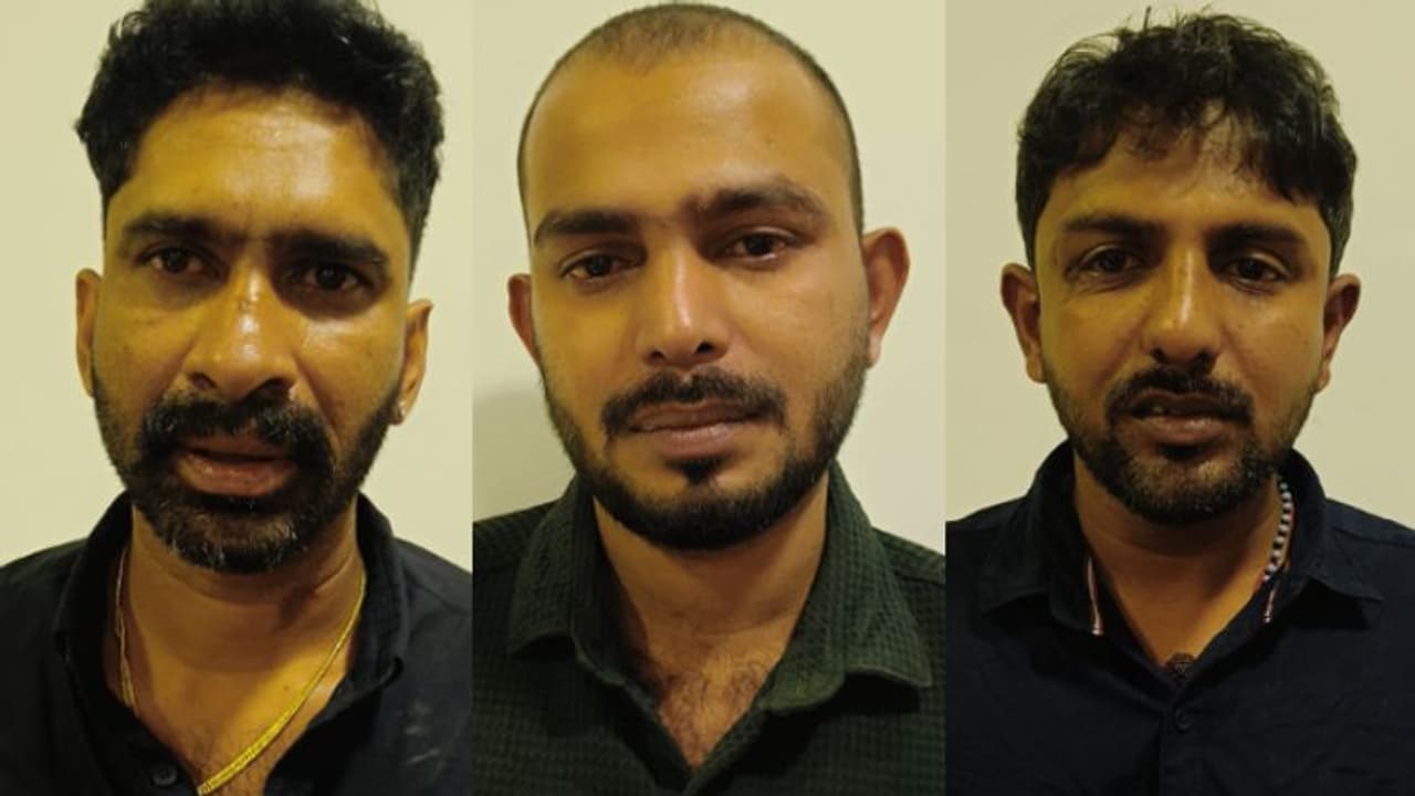 കൊണ്ടുവരുന്നത് ബംഗളൂരുവില് നിന്ന്, പാലക്കാട് ഹോട്ടലില് മുറിയെടുത്ത് വില്പ്പന നടത്തുന്നതിനിടെ പിടിവീണു കൊണ്ടുവരുന്നത് ബംഗളൂരുവില് നിന്ന്, പാലക്കാട് ഹോട്ടലില് മുറിയെടുത്ത് വില്പ്പന നടത്തുന്നതിനിടെ പിടിവീണു