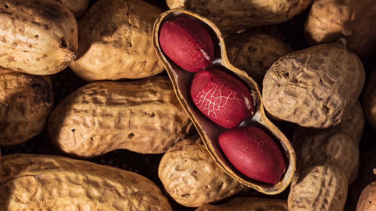 Peanuts Benefits Peanuts Benefits