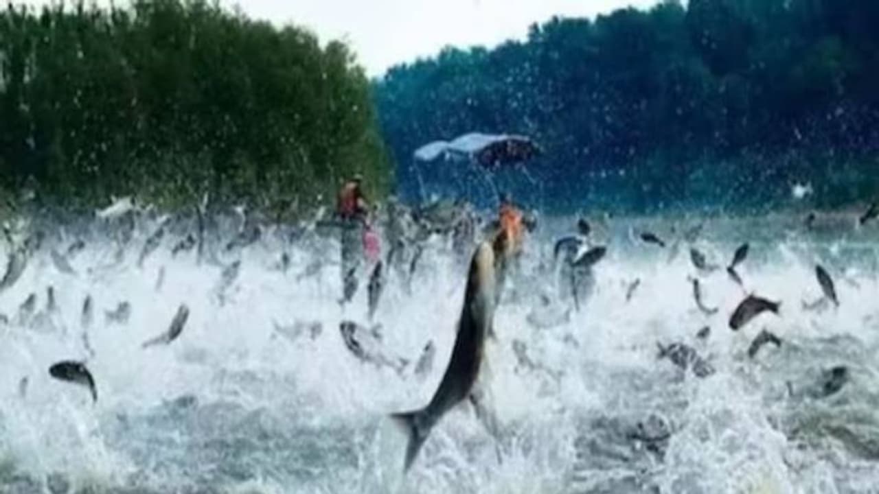 ബീച്ചിൽ ഇങ്ങനെയൊരു സംഭവം കണ്ടാൽ അപ്പോൾ തന്നെ രക്ഷപ്പെടണം? വൈറലായി വീഡിയോ