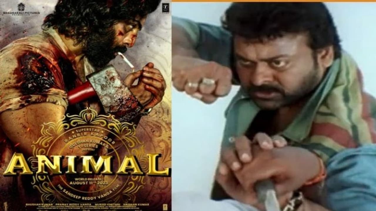  #Animalకు చిరంజీవి ఆ సినిమాకు పోలికా?