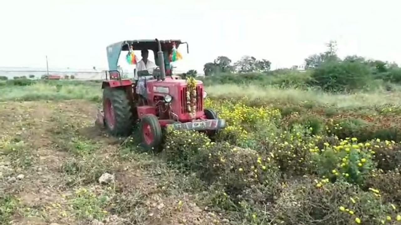 ಚಿತ್ರದುರ್ಗ: ಹೂವಿನ ದರ ಕುಸಿತ ಕಂಗಾಲಾದ ಅನ್ನದಾತ..! ಚಿತ್ರದುರ್ಗ: ಹೂವಿನ ದರ ಕುಸಿತ ಕಂಗಾಲಾದ ಅನ್ನದಾತ..!