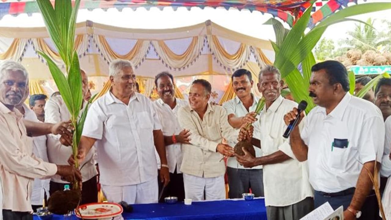 ತೆಂಗು ಬೆಳೆಯಲು ರೈತರು ಹೆಚ್ಚಿನ ಆಸಕ್ತಿ ವಹಿಸಬೇಕು ತೆಂಗು ಬೆಳೆಯಲು ರೈತರು ಹೆಚ್ಚಿನ ಆಸಕ್ತಿ ವಹಿಸಬೇಕು