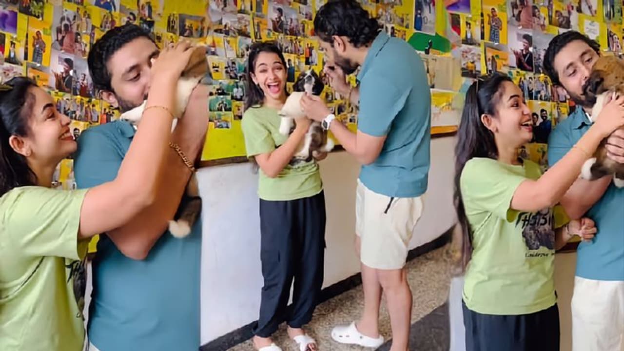 പുതിയ അതിഥിയെ വീട്ടിലേക്ക് സ്വാഗതം ചെയ്ത് ആലീസ് ക്രിസ്റ്റി, സന്തോഷം പങ്കുവെച്ച് താരം