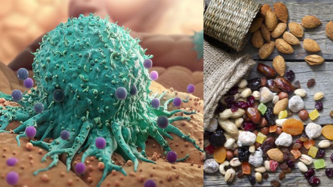 ക്യാന്സര് സാധ്യതയെ കുറയ്ക്കാന് കഴിക്കേണ്ട ചില നട്സും ഡ്രൈ ഫ്രൂട്ട്സും... ക്യാന്സര് സാധ്യതയെ കുറയ്ക്കാന് കഴിക്കേണ്ട ചില നട്സും ഡ്രൈ ഫ്രൂട്ട്സും...