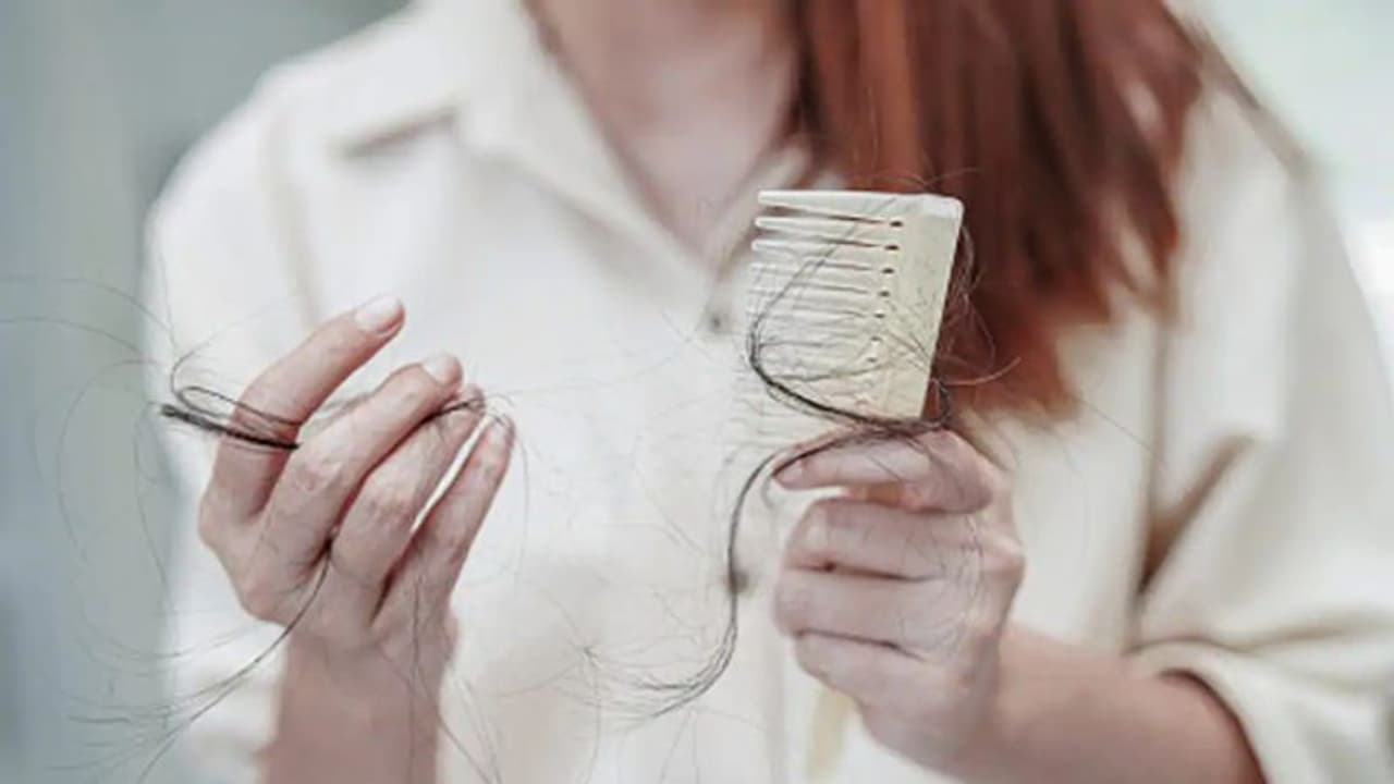 പതിവായി ഈ പത്ത് ഭക്ഷണങ്ങള് കഴിക്കൂ, തലമുടി തഴച്ചു വളരും... പതിവായി ഈ പത്ത് ഭക്ഷണങ്ങള് കഴിക്കൂ, തലമുടി തഴച്ചു വളരും...