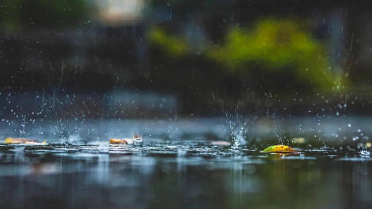 Cyclone Michaung: IMD issues 'Yellow Alert' as depression escalates: CM urges precautionary steps