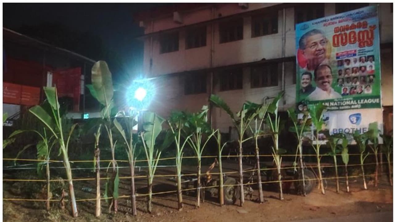 '1+20=21', എണ്ണം തികച്ചുണ്ടെന്ന് സരിൻ; നവകേരള സദസ് വേദിയിൽ രാത്രി വാഴ വെച്ചു; നേരം പുലരും മുമ്പേ വെട്ടി മാറ്റി