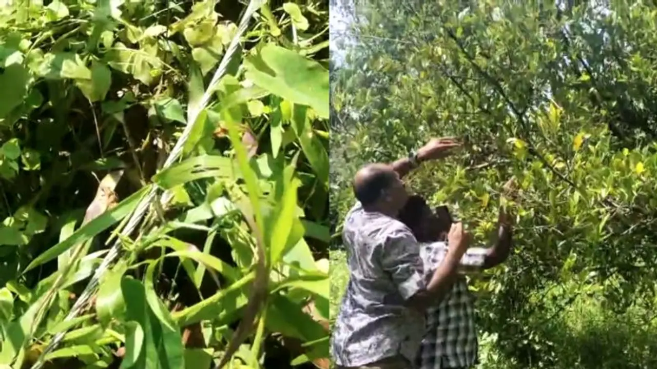 திருவள்ளூரில் மின்சாரம் தாக்கி ஒரே குடும்பத்தைச் சேர்ந்த 2 சிறுவர்கள் உயிரிழப்பு; போலீஸ் விசாரணை