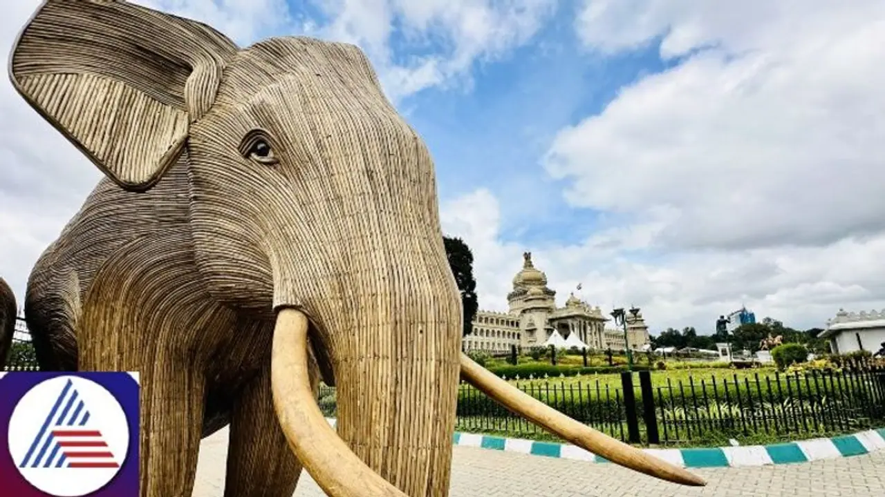 Why 15 elephants made from Lantana trees stand majestically outside Bengaluru's Vidhana Soudha; read this Why 15 elephants made from Lantana trees stand majestically outside Bengaluru's Vidhana Soudha; read this