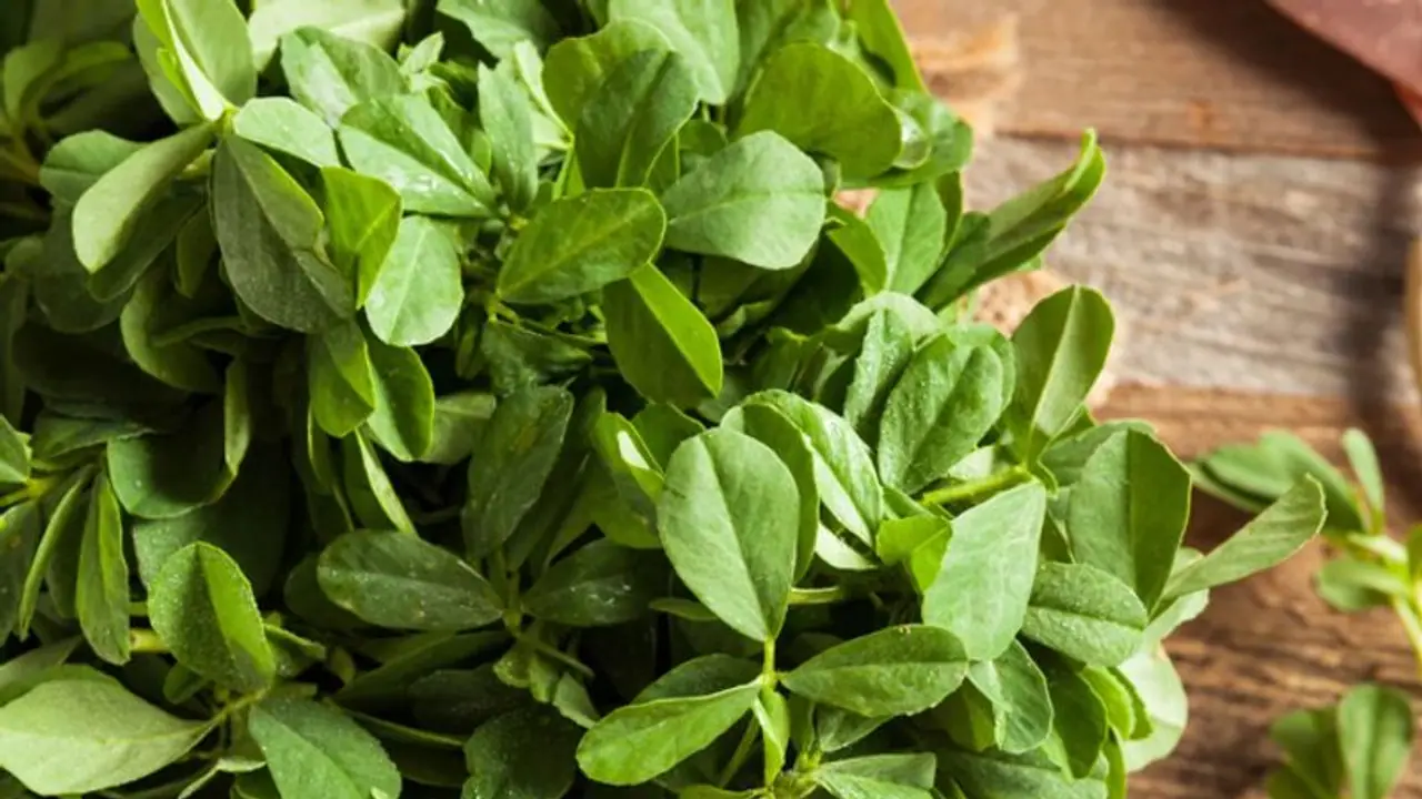 പ്രമേഹം മുതല് കൊളസ്ട്രോള് വരെ; അറിയാം ഉലുവയിലയുടെ ഗുണങ്ങള്... പ്രമേഹം മുതല് കൊളസ്ട്രോള് വരെ; അറിയാം ഉലുവയിലയുടെ ഗുണങ്ങള്...