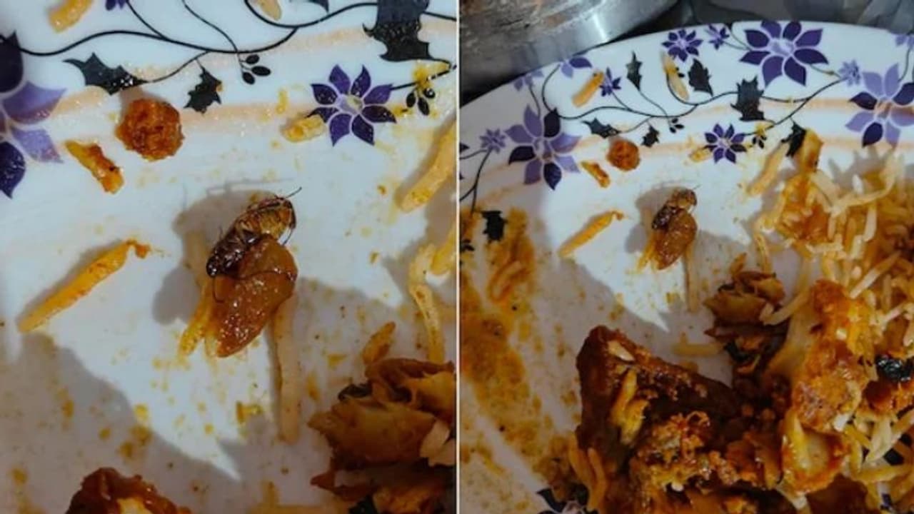 'സൊമാറ്റോയില് ഓര്ഡര് ചെയ്ത ബിരിയാണിയില് പാറ്റ'; ഫോട്ടോ വൈറല് 'സൊമാറ്റോയില് ഓര്ഡര് ചെയ്ത ബിരിയാണിയില് പാറ്റ'; ഫോട്ടോ വൈറല്