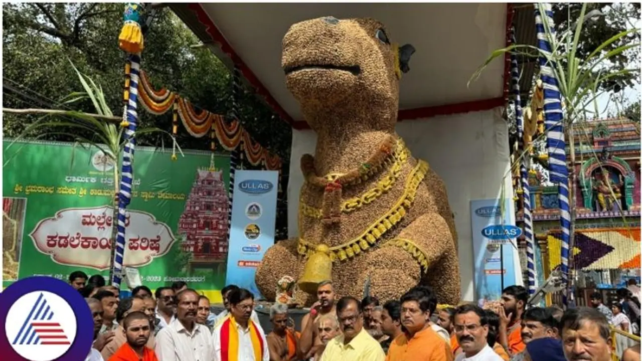 Bengaluru gears up for iconic 'Kadalekai Parishe' from December 9; check alternate routes Bengaluru gears up for iconic 'Kadalekai Parishe' from December 9; check alternate routes