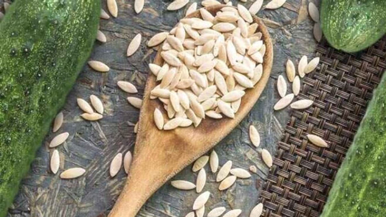 വെള്ളരിക്കാ വിത്തുകളുടെ ഈ ഗുണങ്ങൾ അറിയാമോ? 