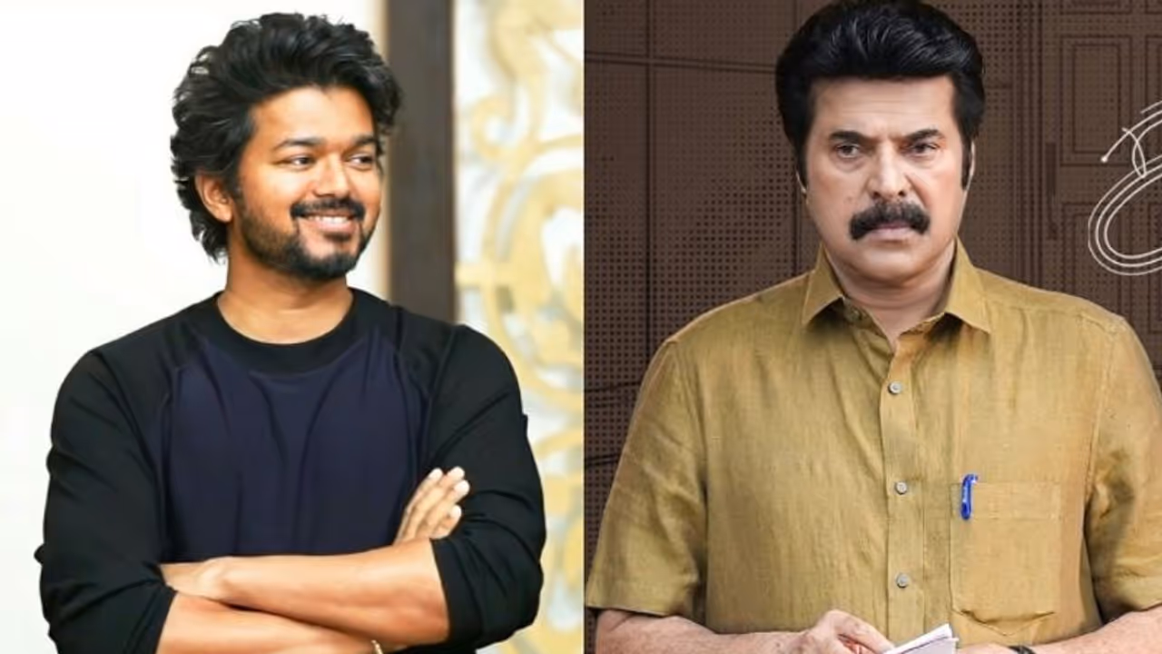 വിജയ് ഒന്നും ഇത് ചെയ്യില്ല, മെഗാസ്റ്റാർ മെഗാസ്റ്റാർ താ..; മമ്മൂട്ടിയെ പുകഴ്ത്തി തമിഴ് ആരാധകൻ വിജയ് ഒന്നും ഇത് ചെയ്യില്ല, മെഗാസ്റ്റാർ മെഗാസ്റ്റാർ താ..; മമ്മൂട്ടിയെ പുകഴ്ത്തി തമിഴ് ആരാധകൻ