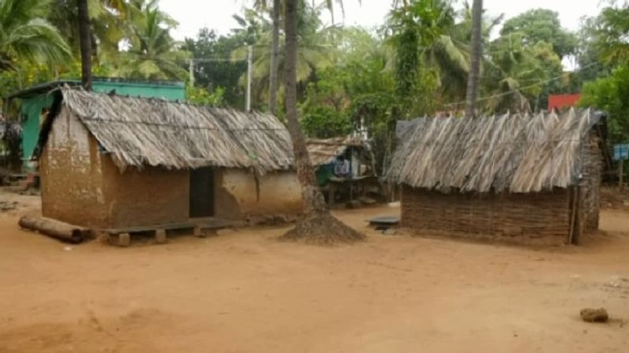 ಸ್ವಾತಂತ್ರ್ಯ ಬಂದು 76 ವರ್ಷ ಕಳೆದ್ರೂ ಇನ್ನೂ ಗುಡಿಸಲುಗಳಲ್ಲೇ ಬುಡಕಟ್ಟು ಸೋಲಿಗರ ವಾಸ: ಇದೇನಾ ಅಭಿವೃದ್ಧಿ? ಸ್ವಾತಂತ್ರ್ಯ ಬಂದು 76 ವರ್ಷ ಕಳೆದ್ರೂ ಇನ್ನೂ ಗುಡಿಸಲುಗಳಲ್ಲೇ ಬುಡಕಟ್ಟು ಸೋಲಿಗರ ವಾಸ: ಇದೇನಾ ಅಭಿವೃದ್ಧಿ?