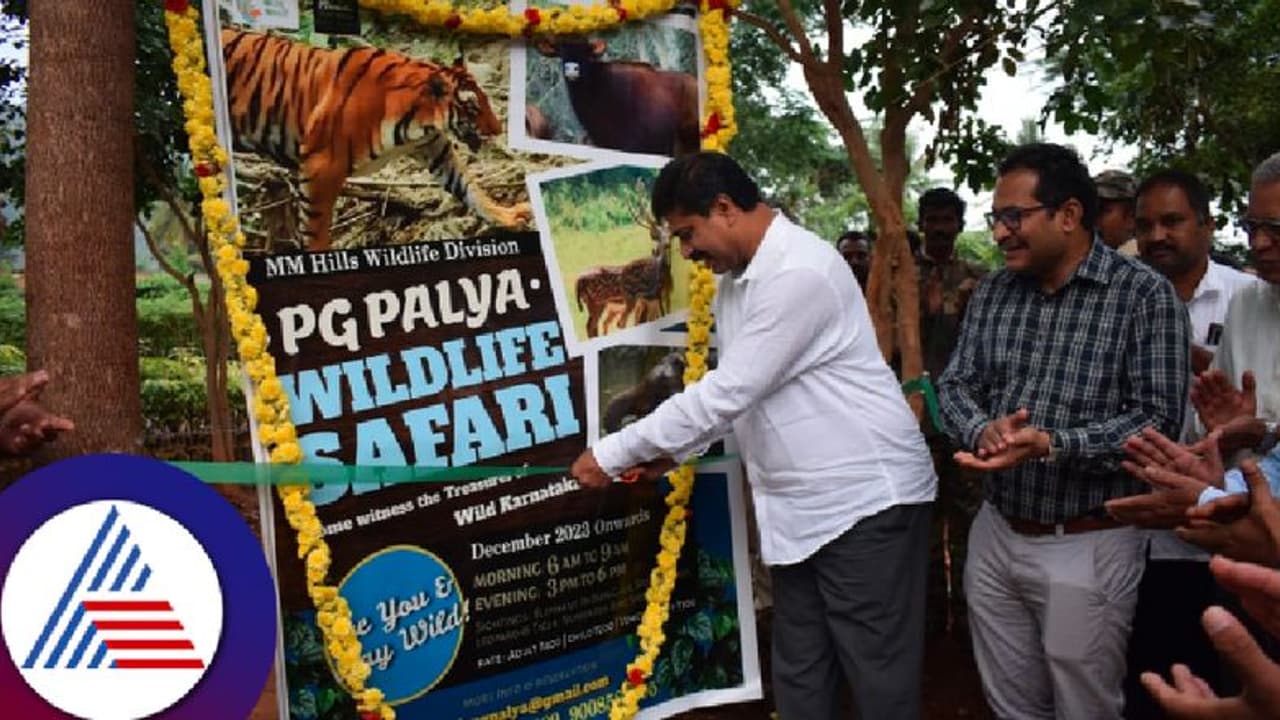 ಮಲೆ ಮಹದೇಶ್ವರ ಬೆಟ್ಟದಲ್ಲೂ ಈಗ ವನ್ಯಜೀವಿ ಸಫಾರಿ ಆರಂಭ! ಬುಕಿಂಗ್ ಹೇಗೆ? ಫೀ ಎಷ್ಟು? ಇಲ್ಲಿದೆ ಮಾಹಿತಿ ಮಲೆ ಮಹದೇಶ್ವರ ಬೆಟ್ಟದಲ್ಲೂ ಈಗ ವನ್ಯಜೀವಿ ಸಫಾರಿ ಆರಂಭ! ಬುಕಿಂಗ್ ಹೇಗೆ? ಫೀ ಎಷ್ಟು? ಇಲ್ಲಿದೆ ಮಾಹಿತಿ