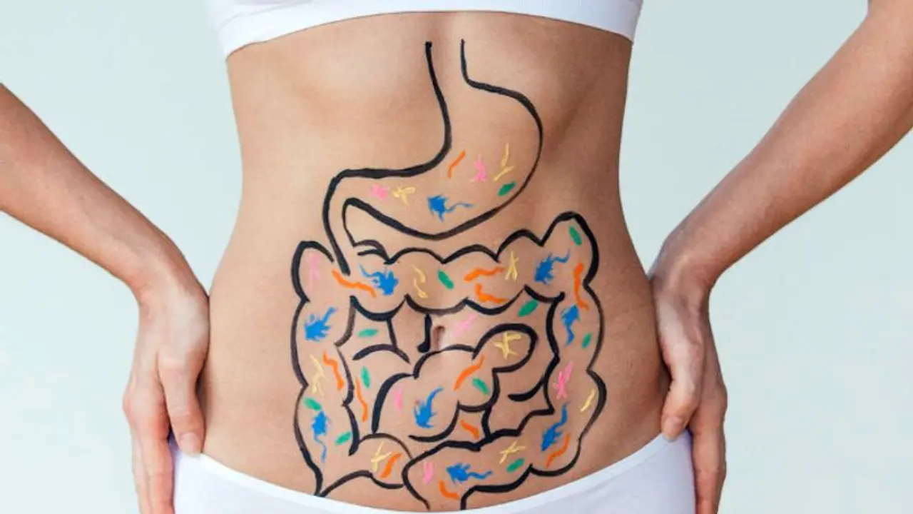 Health Tips: ദഹനക്കേട് അകറ്റാന്‍ ഡയറ്റില്‍ ഉള്‍പ്പെടുത്താം ഈ ഭക്ഷണങ്ങള്‍... 