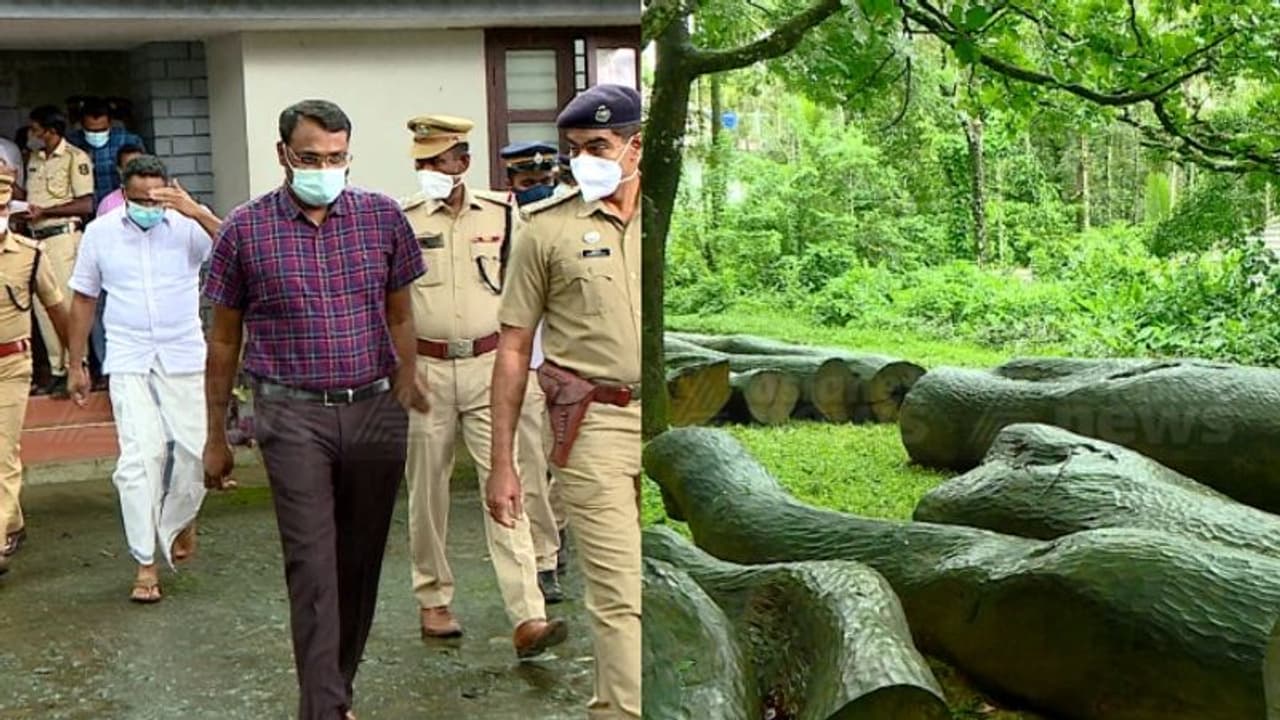 മുട്ടിൽ മരംമുറി: തടികൾ കണ്ടുകെട്ടിയതിനെതിരായ ഇടക്കാല സ്റ്റേ തുടരുന്നു, 2 വർഷമായിട്ടും അനങ്ങാതെ വനംവകുപ്പ് മുട്ടിൽ മരംമുറി: തടികൾ കണ്ടുകെട്ടിയതിനെതിരായ ഇടക്കാല സ്റ്റേ തുടരുന്നു, 2 വർഷമായിട്ടും അനങ്ങാതെ വനംവകുപ്പ്