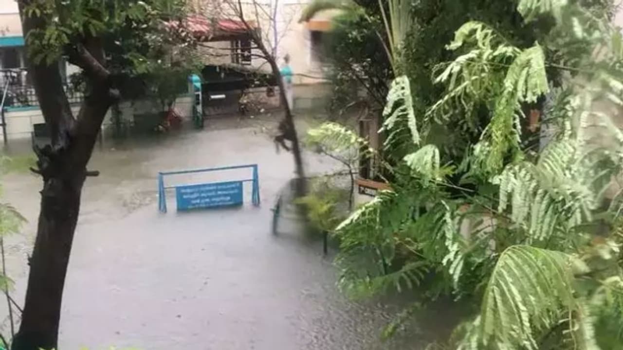 சென்னையில் கனமழை.. 14 சுரங்கபாதைகள் மூடல்.. மின்சார ரயில் சேவையில் சிக்கல்? சுகாதார அதிகாரி விடுத்த கோரிக்கை! சென்னையில் கனமழை.. 14 சுரங்கபாதைகள் மூடல்.. மின்சார ரயில் சேவையில் சிக்கல்? சுகாதார அதிகாரி விடுத்த கோரிக்கை!